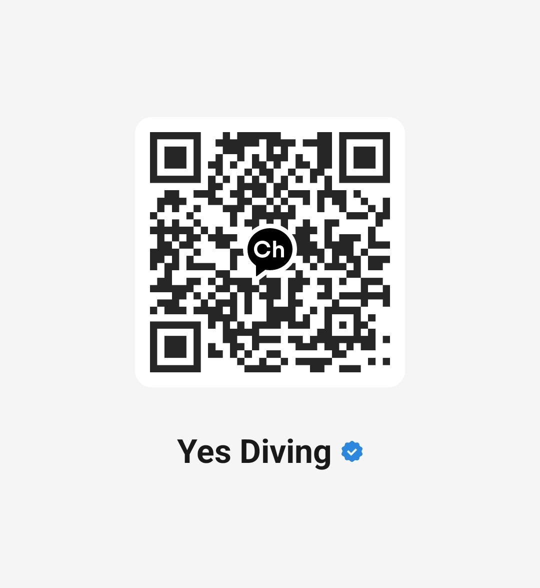 kakao QR